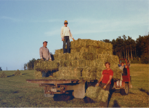 img1984_2