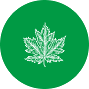 kenora-logo